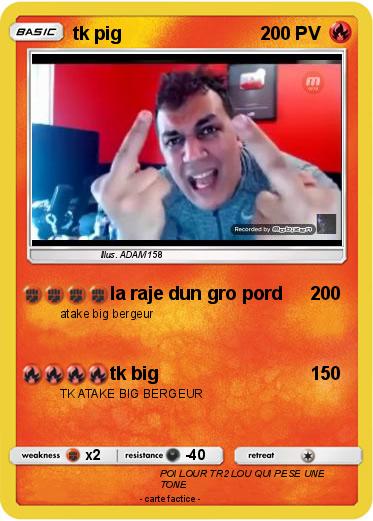 Pokemon tk pig