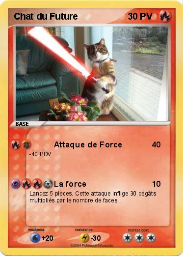 Pokemon Chat du Future
