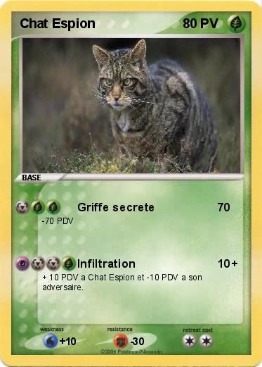 Pokemon Chat Espion