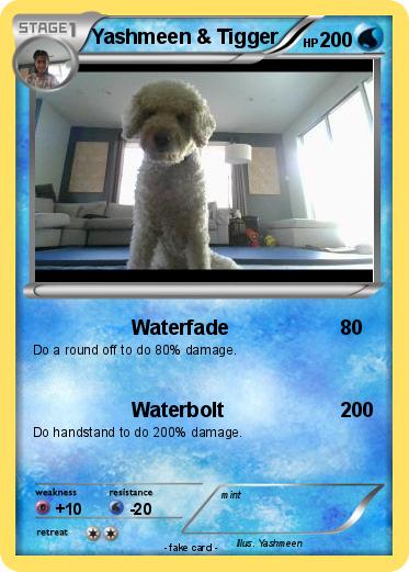 Pokemon Yashmeen & Tigger