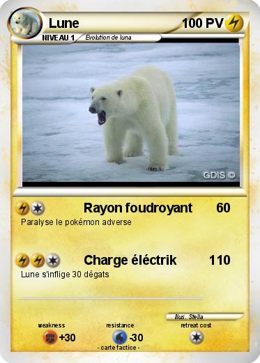 Pokemon Lune