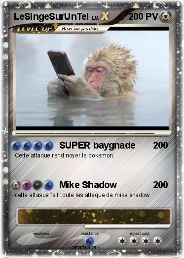 Pokemon LeSingeSurUnTel