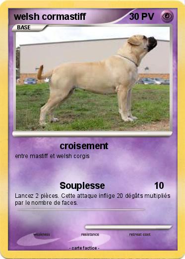 Pokemon welsh cormastiff