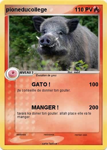 Pokemon pioneducollege