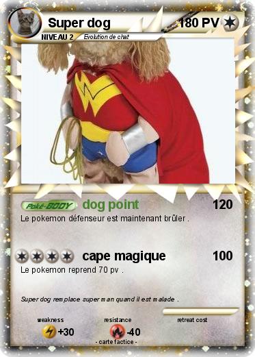 Pokemon Super dog