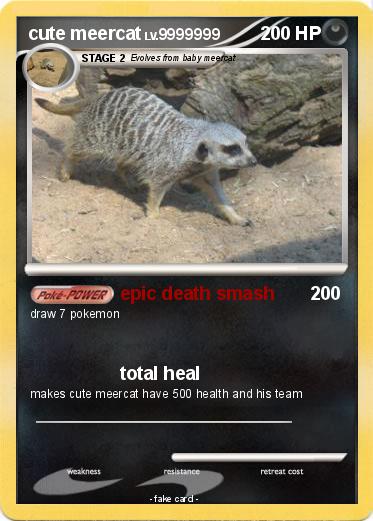 Pokemon cute meercat