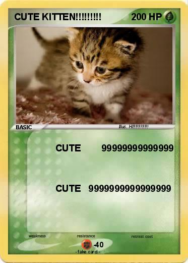 Pokemon CUTE KITTEN!!!!!!!!!