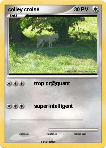 Pokemon colley croisé