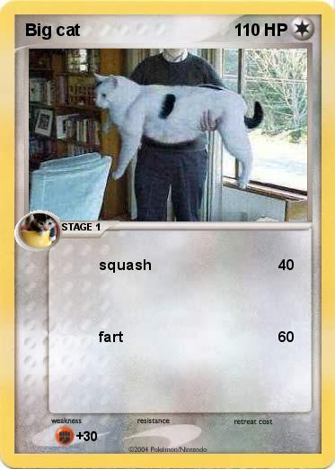 Pokemon Big cat
