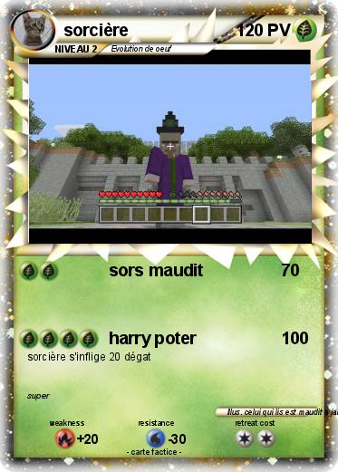 Pokemon sorcière