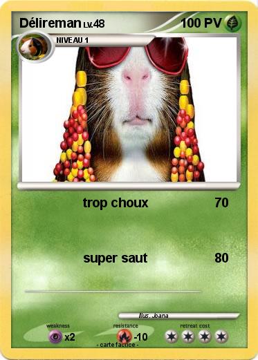 Pokemon Délireman