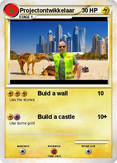 Pokemon Projectontwikkelaar