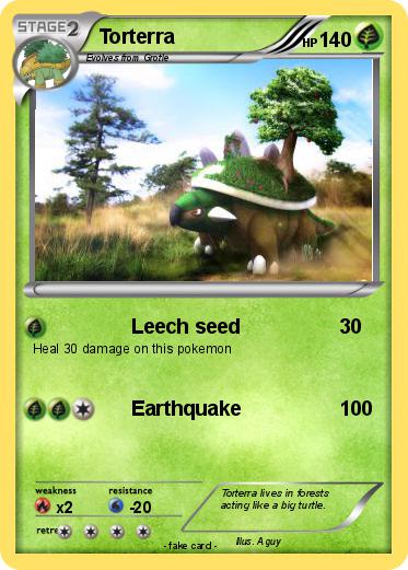 Pokemon Torterra