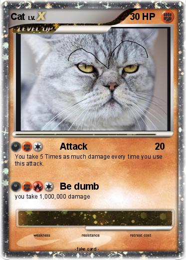 Pokemon Cat