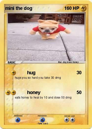 Pokemon mini the dog