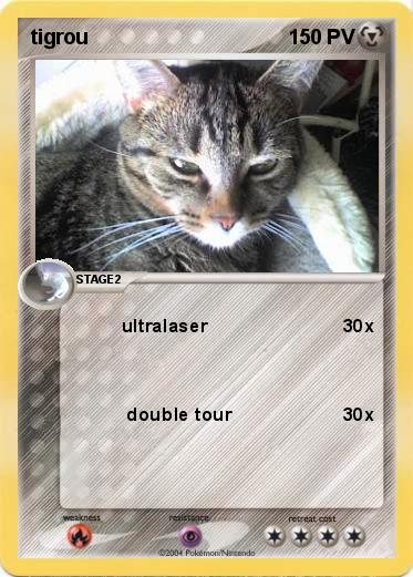 Pokemon tigrou