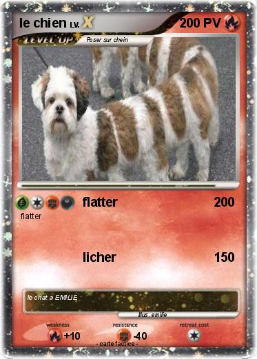 Pokemon le chien
