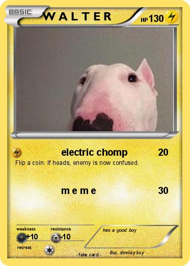 Pokemon W A L T E R