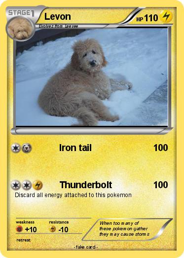 Pokemon Levon