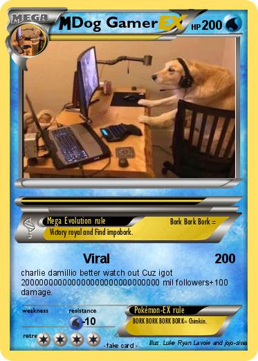 Pokemon Dog Gamer