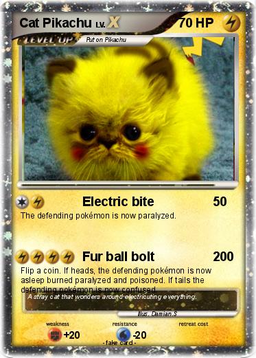 Pokemon Cat Pikachu