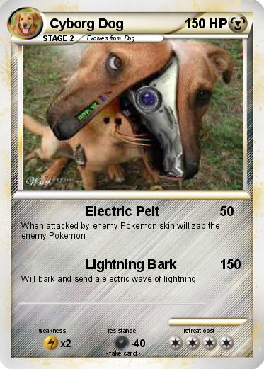 Pokemon Cyborg Dog