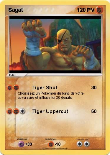 Pokemon Sagat