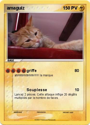 Pokemon amaguiz