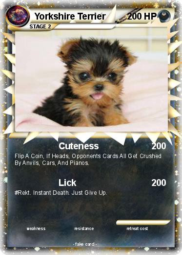Pokemon Yorkshire Terrier