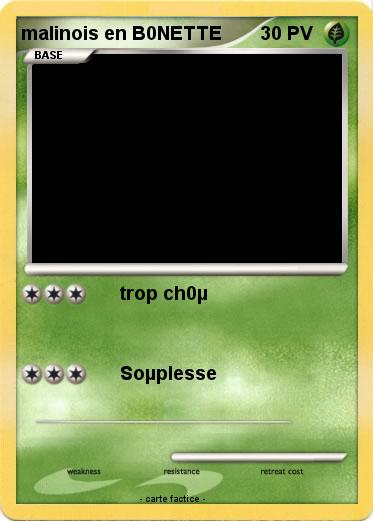 Pokemon malinois en B0NETTE