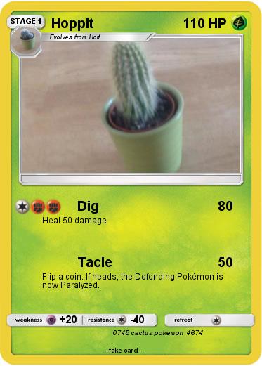 Pokemon Hoppit