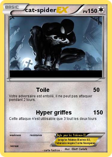 Pokemon cat-spider
