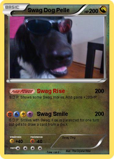 Pokemon Swag Dog Pelle
