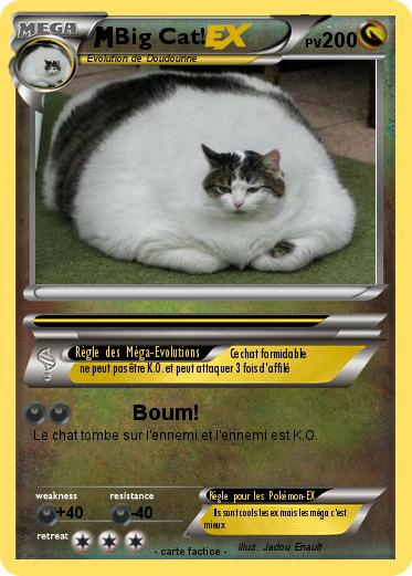 Pokemon Big Cat!