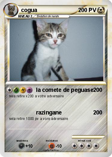 Pokemon cogua