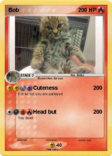 Pokemon Bob