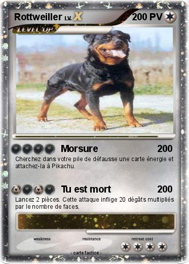 Pokemon Rottweiller