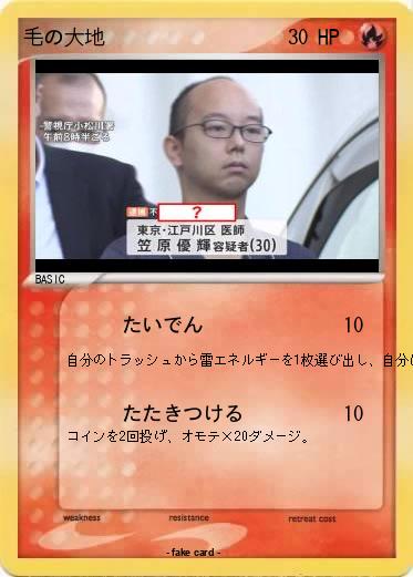 Pokemon 毛の大地