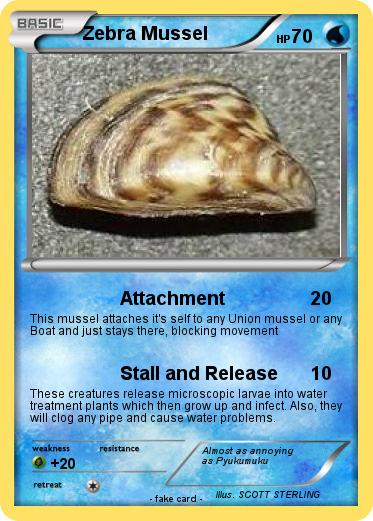 Pokemon Zebra Mussel