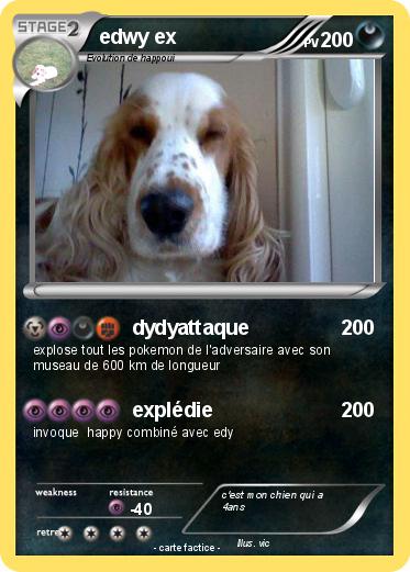 Pokemon edwy ex