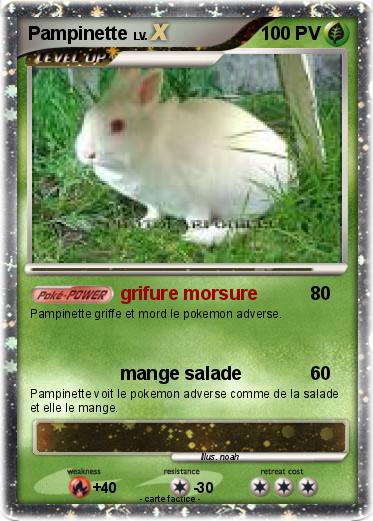Pokemon Pampinette