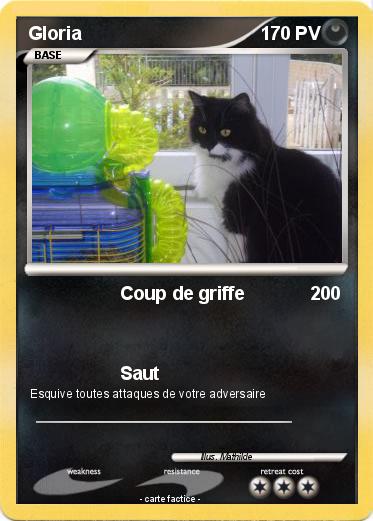Pokemon Gloria
