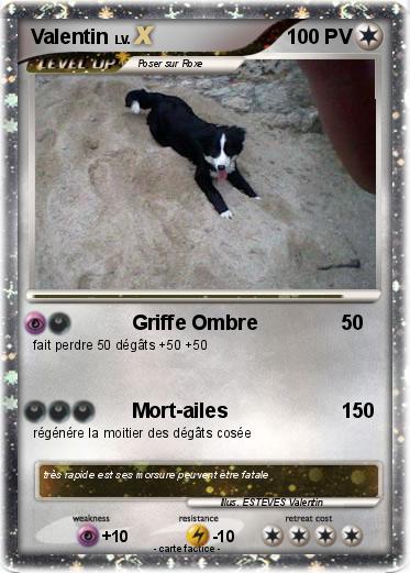Pokemon Valentin
