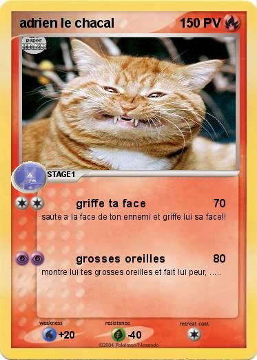 Pokemon adrien le chacal