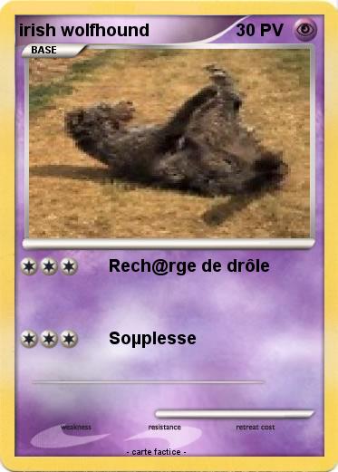 Pokemon irish wolfhound