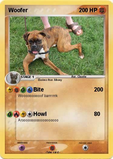 Pokemon Woofer
