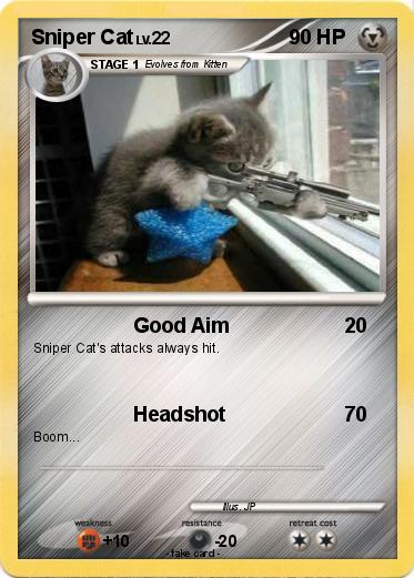 Pokemon Sniper Cat
