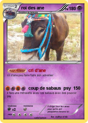 Pokemon roi des ane