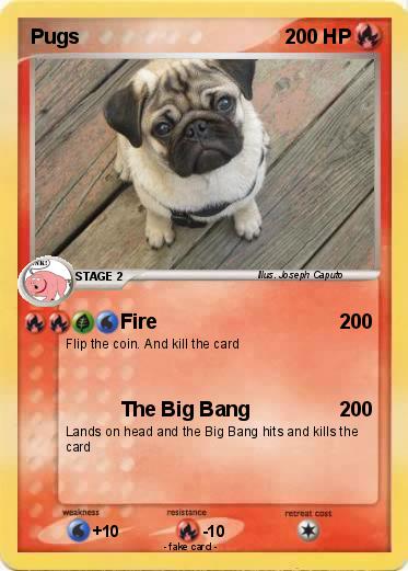 Pokemon Pugs