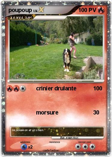 Pokemon poupoup